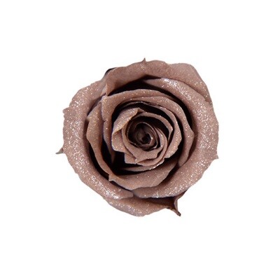 Sparkling Piccola Blossom Rose / Brown Gray