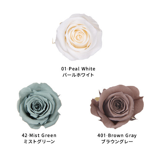 Rose Palette - COMFORT
