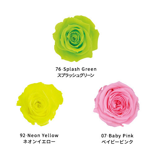 Rose Palette - FANCY