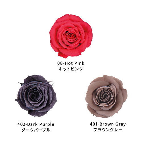Rose Palette - CROSSOVER