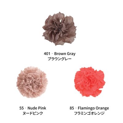 Mini Carnation Color Palette - EARTH