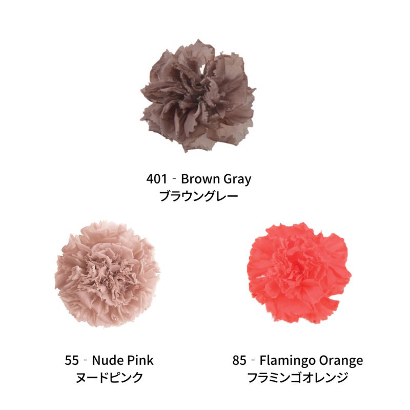 Mini Carnation Color Palette - EARTH