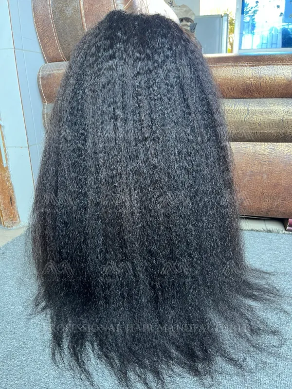 Mink Hair Kinky Straight Transparent Lace Wig