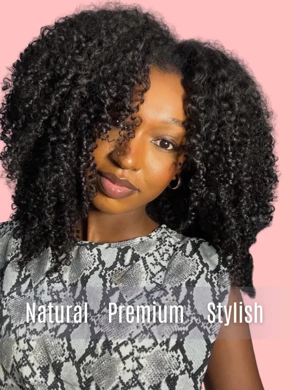 Mink Hair Kinky Curly Transparent Lace Wig