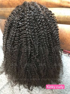 Mink Hair Kinky Curly HD Lace Wig
