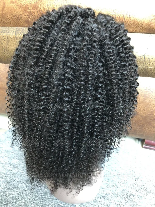 Mink Hair Kinky Curly HD Lace Wig