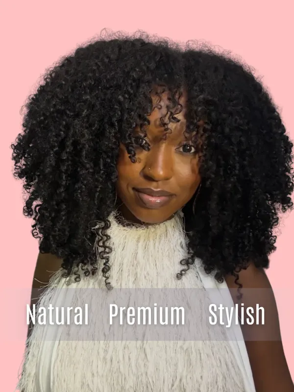 Mink Hair Kinky Curly HD Lace Wig