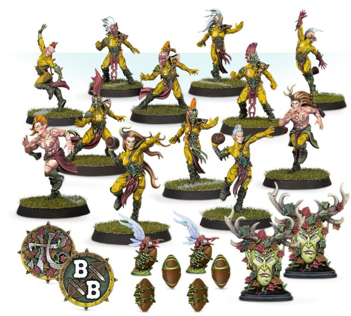 Blood Bowl : Wood Elf Team