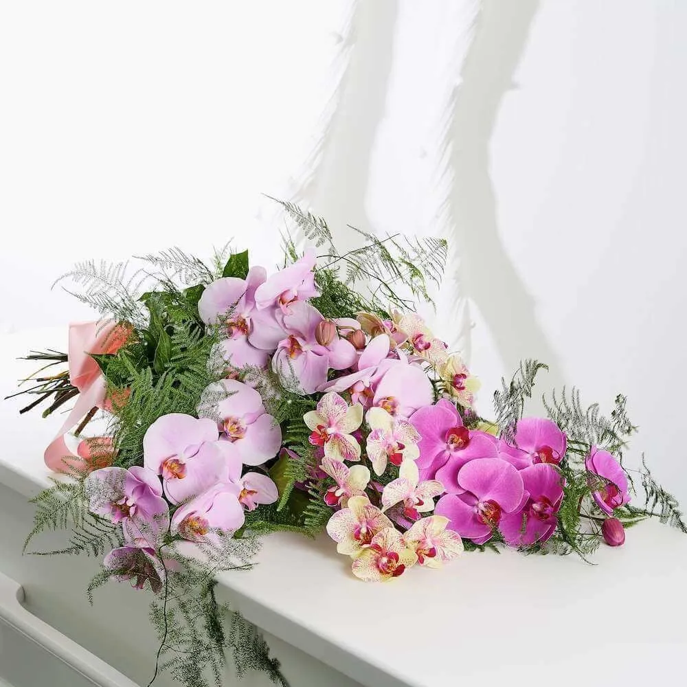 Orchidee