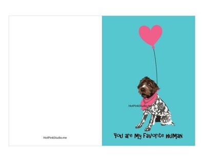 Wire Haired Griffon Dog Puppy Birthday Card For Your Love or Best Friend