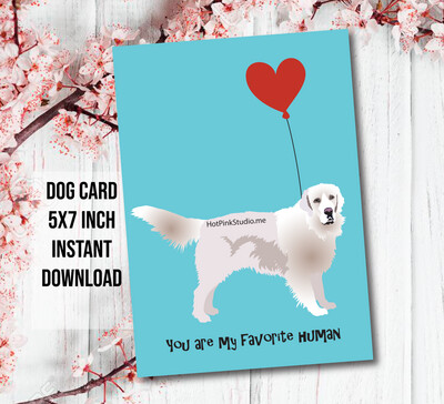 English Cream Golden Retriever Dog Puppy Happy Birthday Card For Your Love or Best Friend