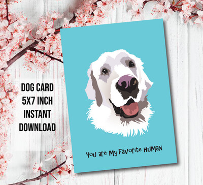 Card English Cream Golden Retriever Dog Happy Birthday Card For Your Love or Best Friend