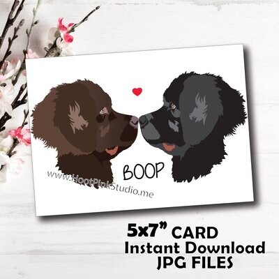 Newfoundland Dog Birthday Card Anniversary For Your Love or Best Friend