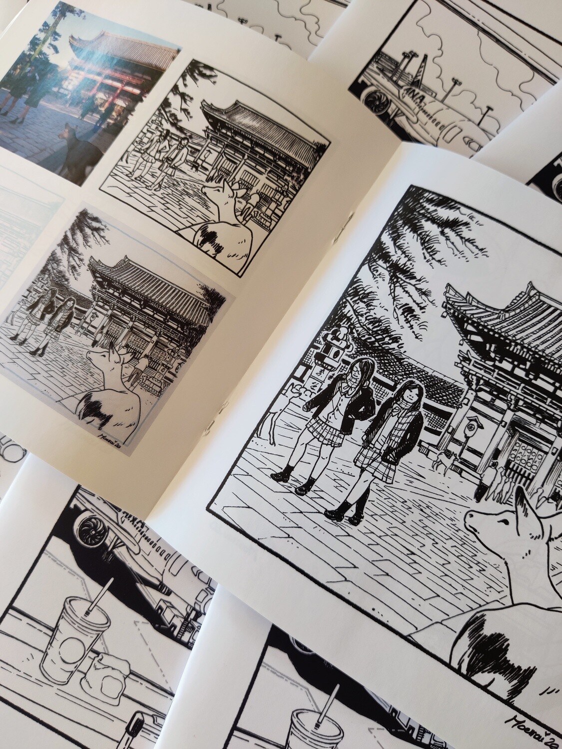 Books &amp; Artbooks
