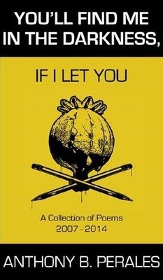 You'll Find Me In The Darkness If I Let You Chapbook by AB Perales