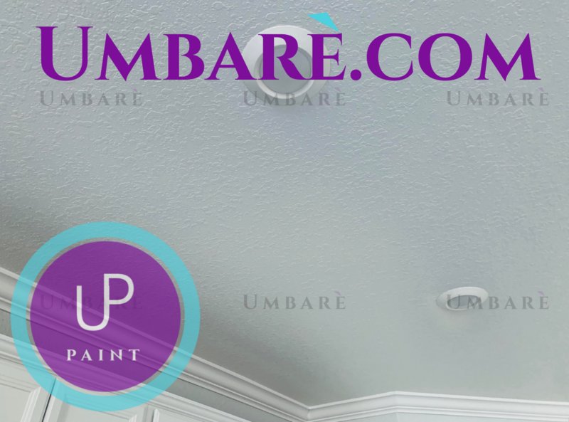 Umbare Ceiling Home Interior Painting House Refinish Basic 1 Story