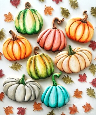 Fall Collection