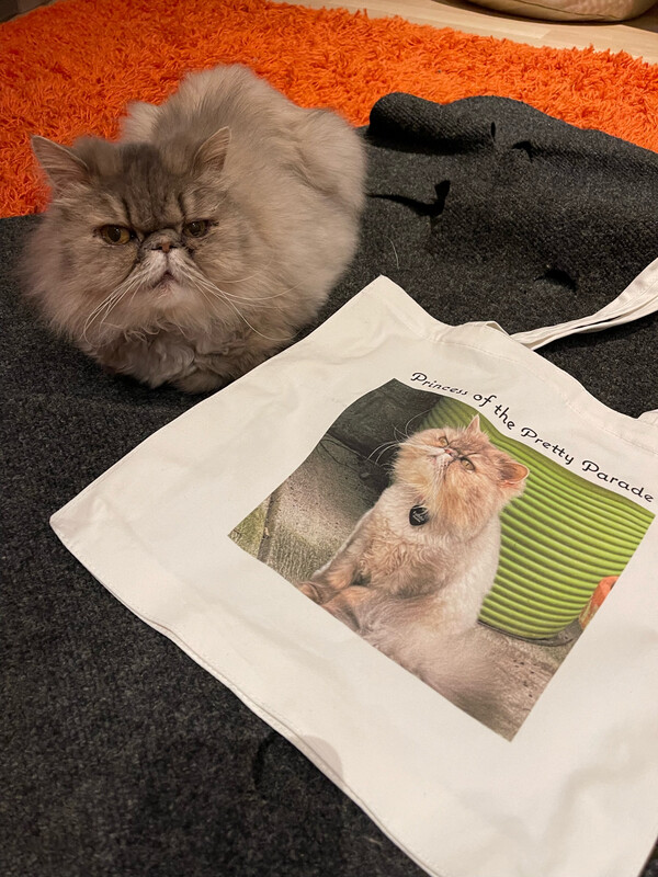 Fundraiser Tote Bag -princess Of The Pretty Parade