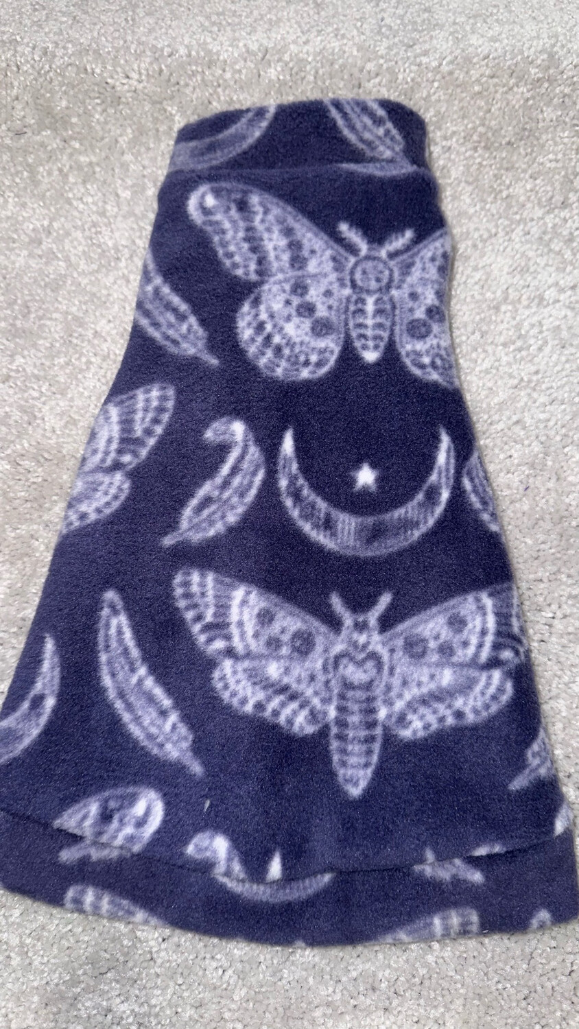 Luna Moth