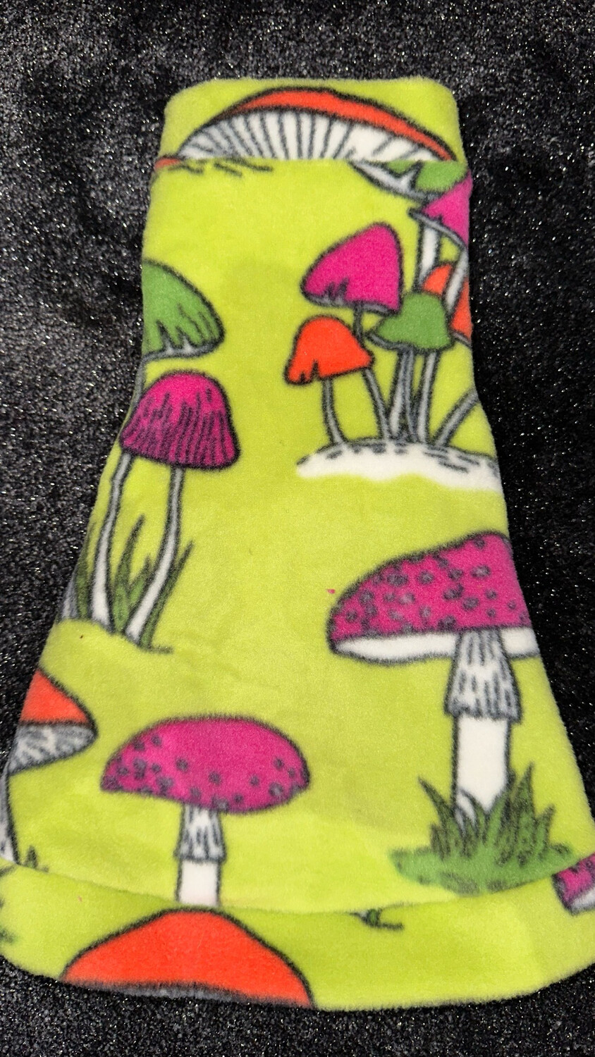 Magic Mushroom