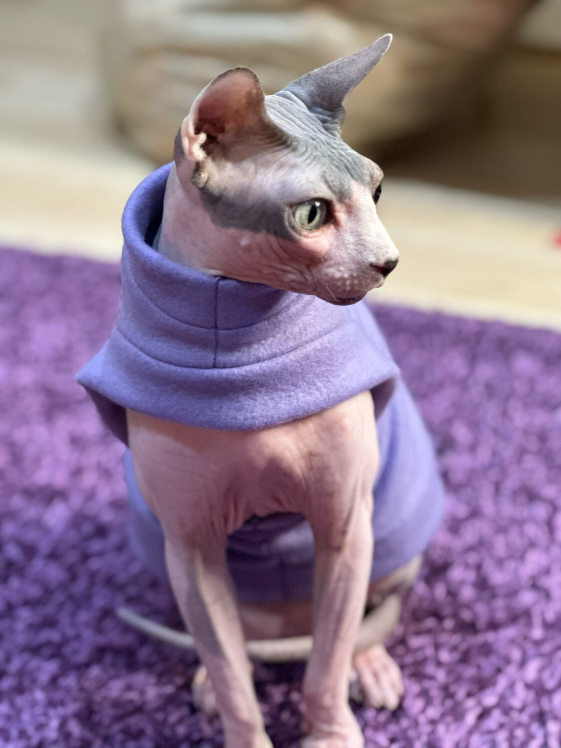 Lavender Fleece