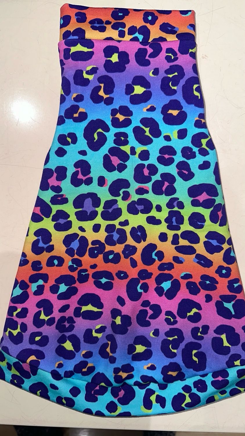 Lisa F. Rainbow Leopard