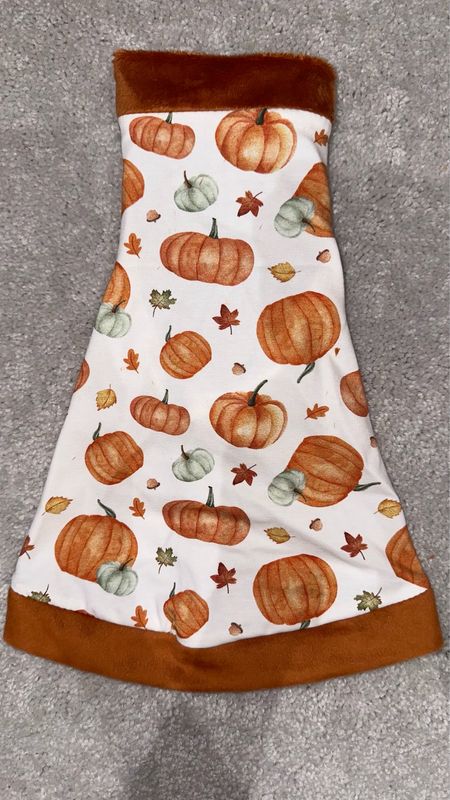 Pumpkin Patch