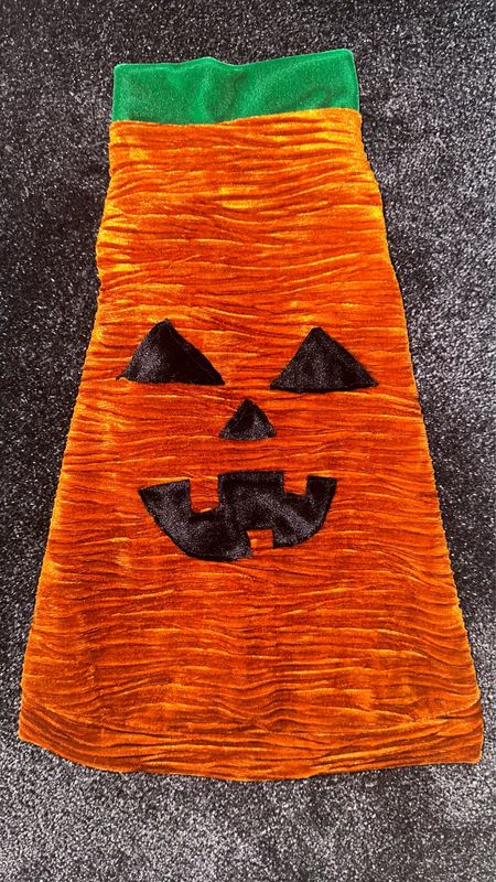 Cat O Lantern