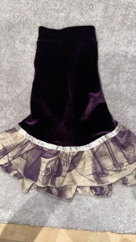 Pruple Velvet Anatomy Dress
