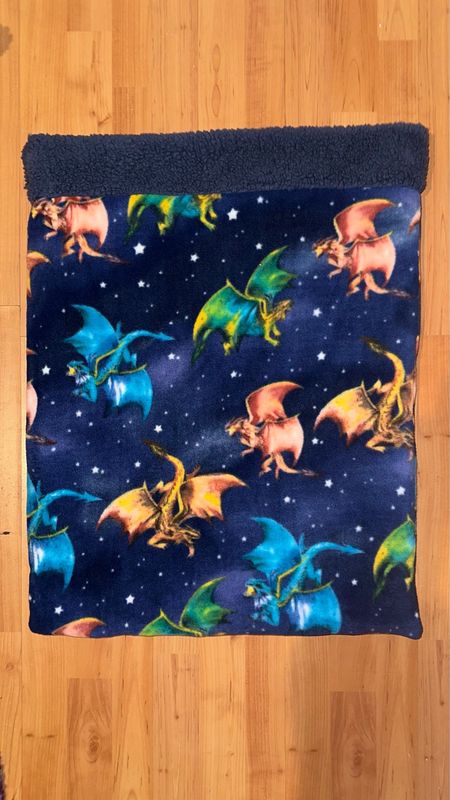 Sleeping Sack Dragons W Blue Sherpa Lining (medium)