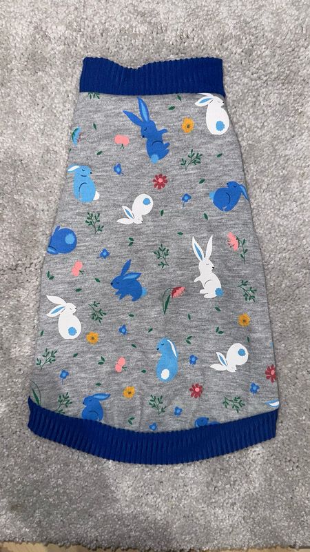Blue Bunny