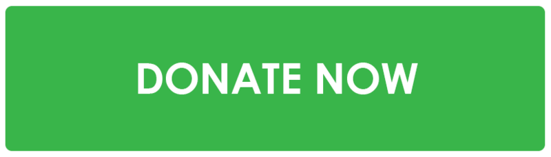 Donate $195