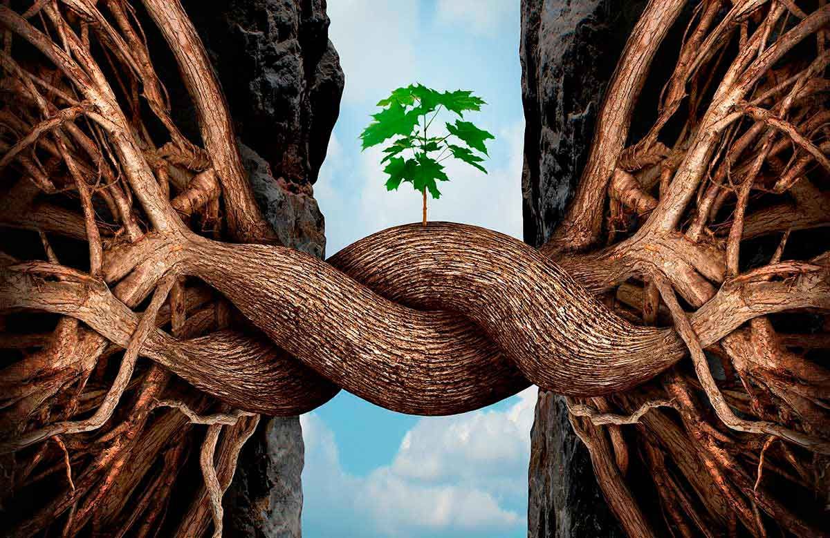 Ritual de Robustecimiento Integral del Negocio