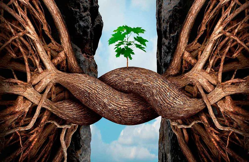 Ritual de Robustecimiento Integral del Negocio