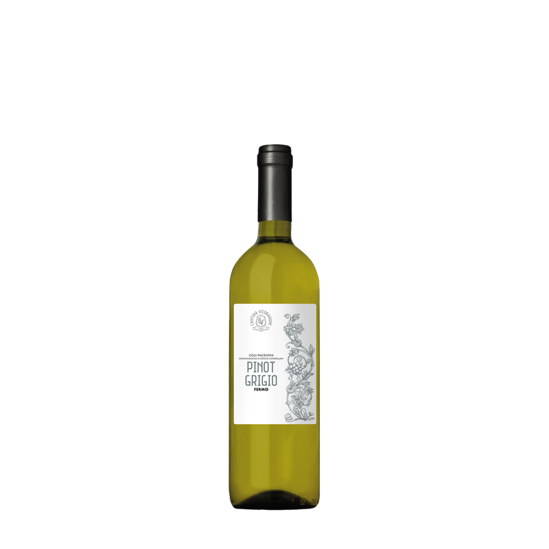 Pinot Grigio - Colli Piacentini Denominazione di Origine Controllata Pinot Grigio