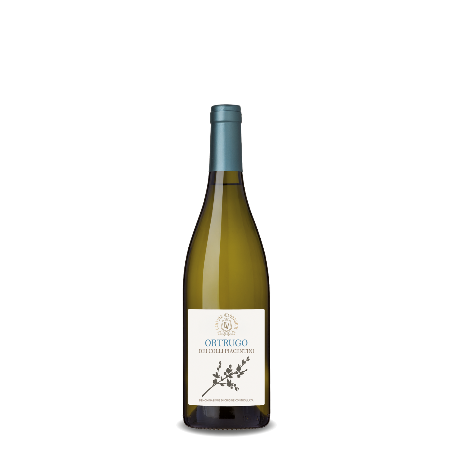 Ortrugo - Ortrugo dei Colli Piacentini Denominazione di Origine Controllata Vino Frizzante