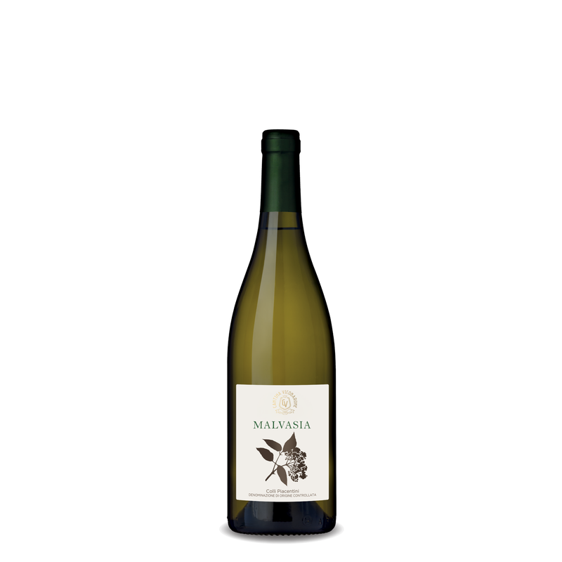 Malvasia Frizzante - Colli Piacentini D.O.C. Vino Frizzante