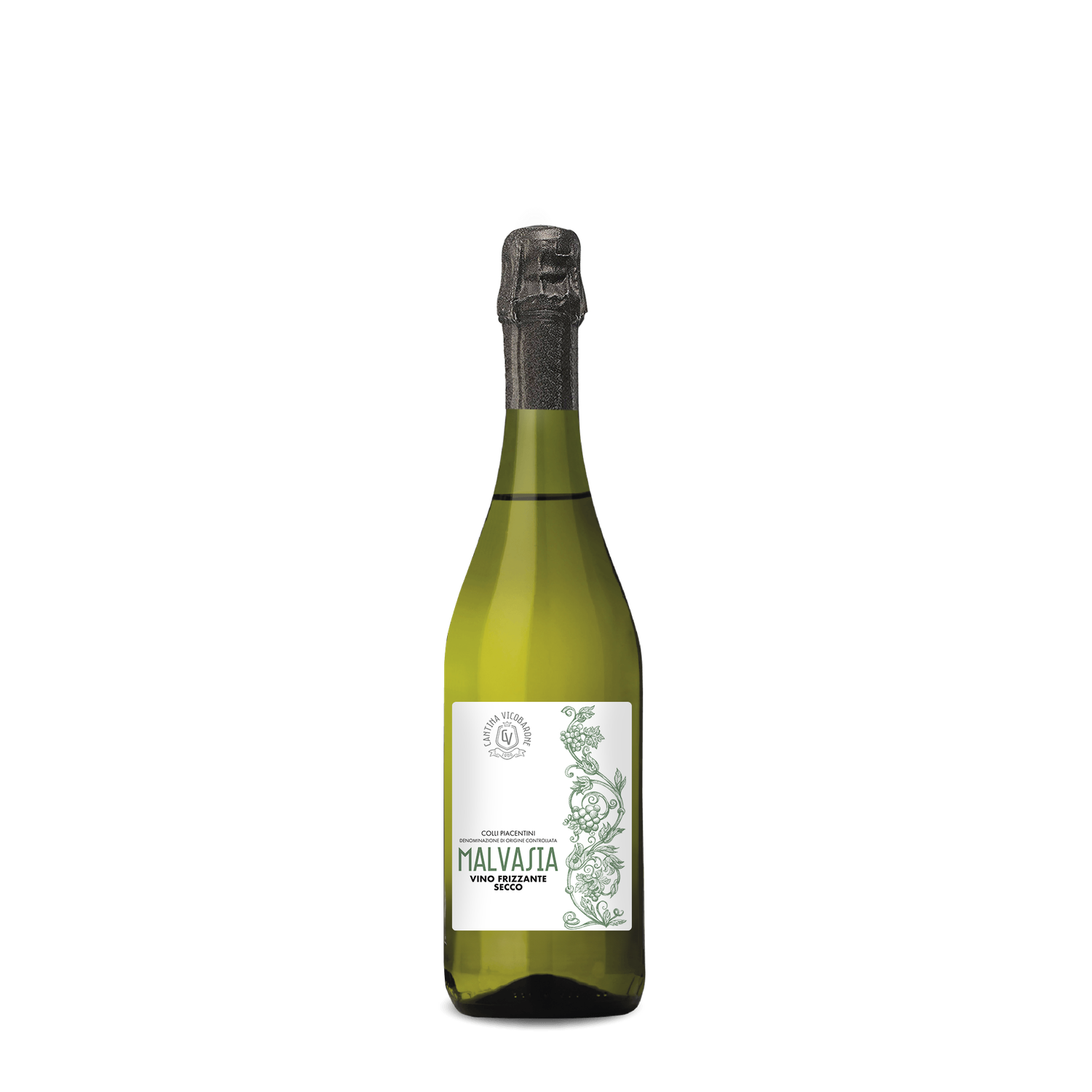 Malvasia Secco Frizzante - Colli Piacentini D.O.C. Malvasia Vino Frizzante Secco Malvasia Secco Frizzante - Colli Piacentini D.O.C. Malvasia Vino Frizzante Secco