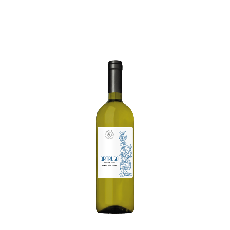Ortrugo - Ortrugo dei Colli Piacentini Denominazione di Origine Controllata Vino Frizzante