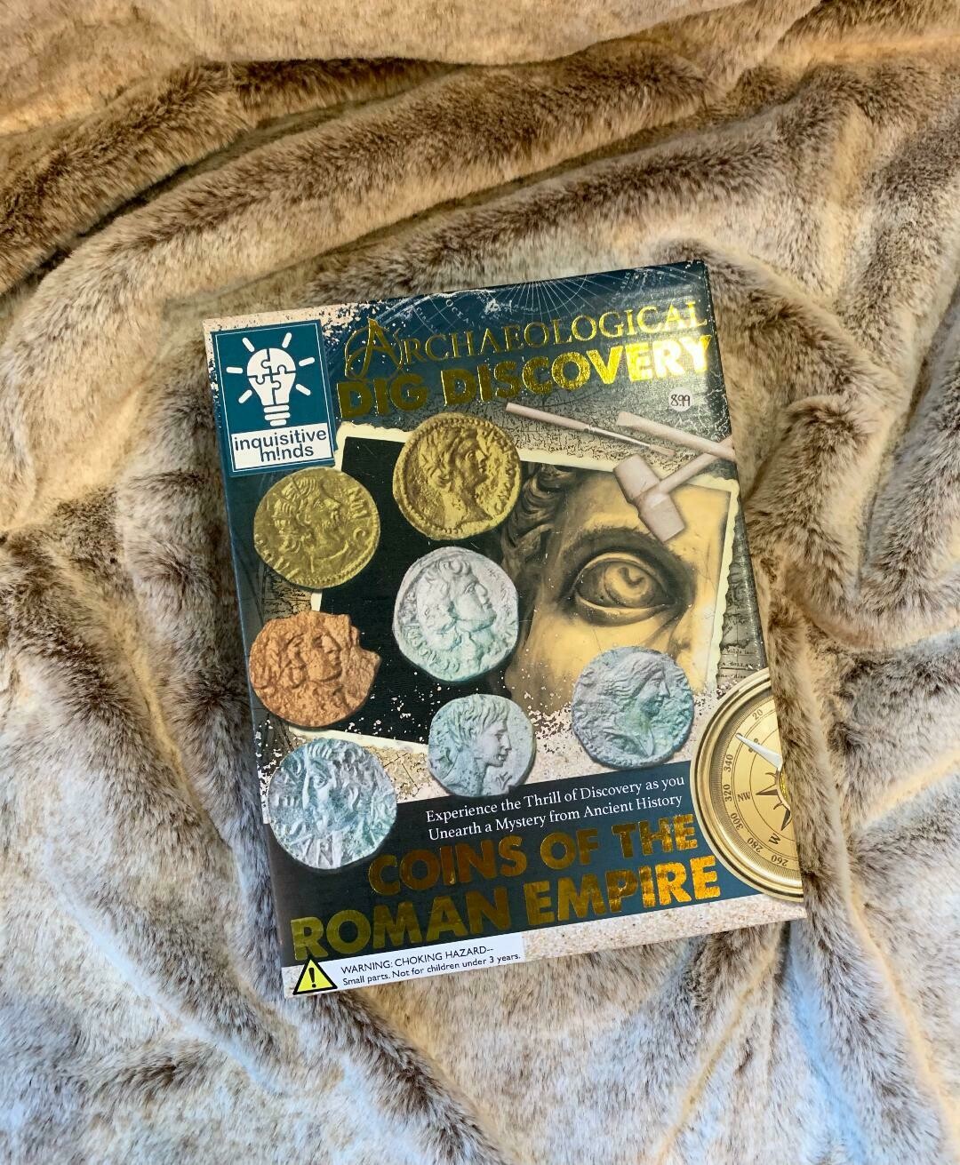 'Roman Coins Discovery'
