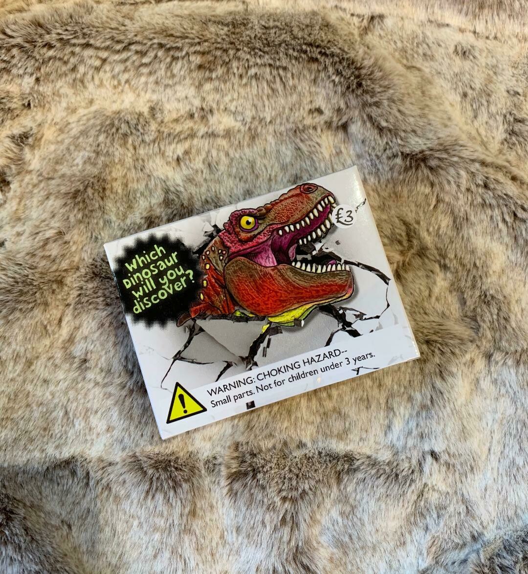 'Dino-Dig' Kit