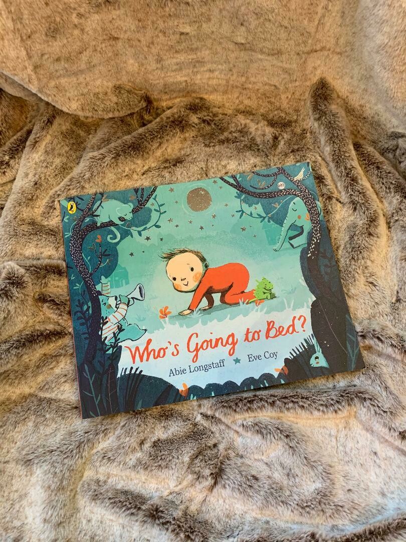 'Who's Going To Bed?' Book