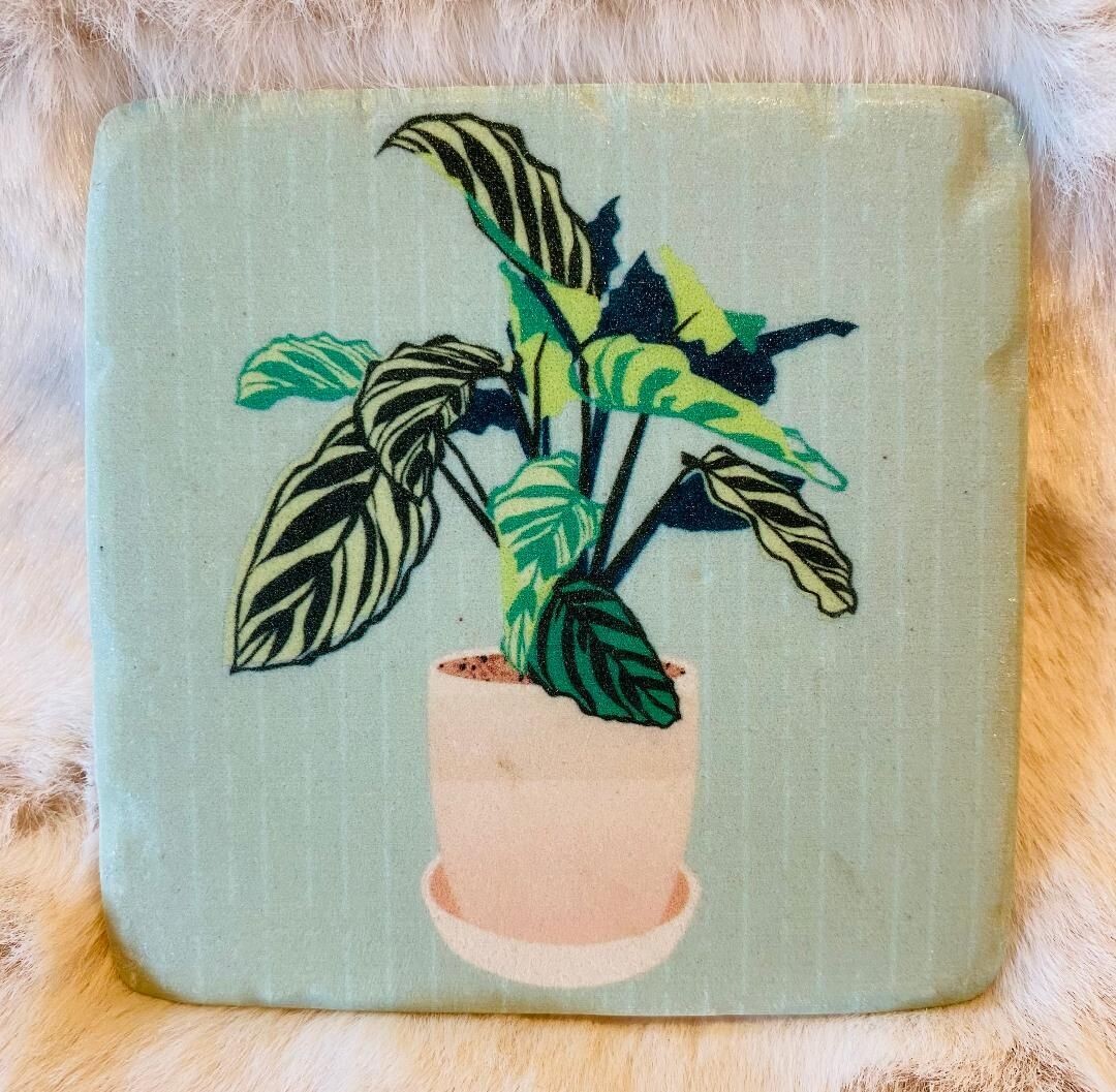 'Plant' Coaster (B)