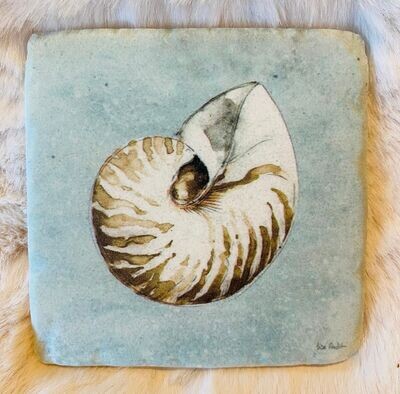 'Shells' Coaster (B)