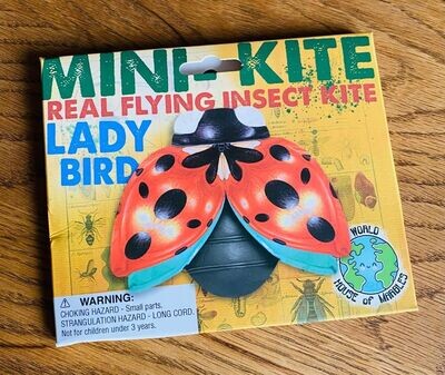 'Ladybird' Mini Kite
