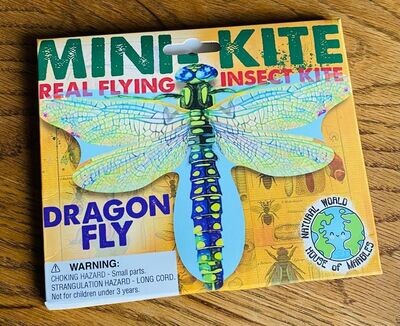 'Dragonfly' Mini Kite