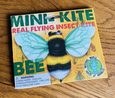 'Bumble Bee' Mini Kite