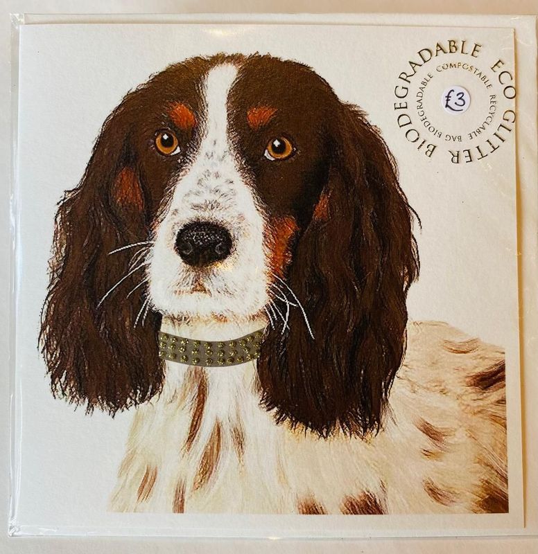 Eco 'Springer Spaniel' Card