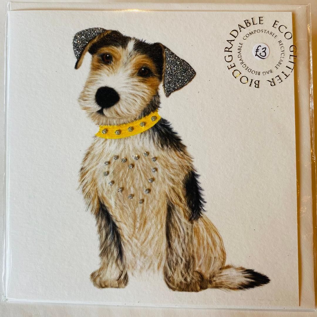 Eco 'Jack Russell' Card