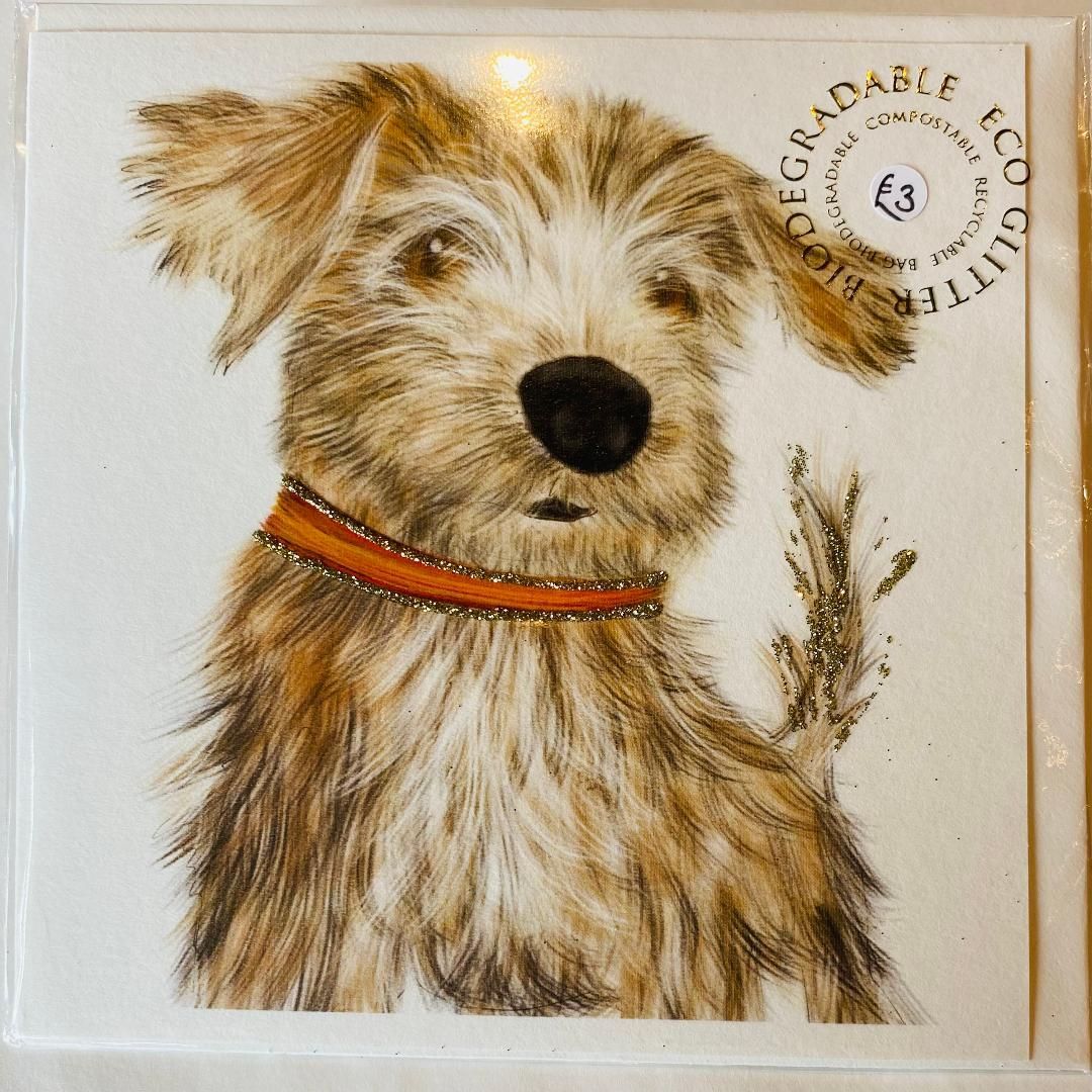 Eco 'Norfolk Terrier' Card